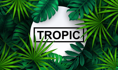 tropical background design illustration lives nature tropic vector