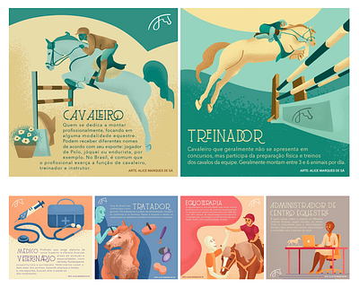 Equestrian Professions equestrian equine horse illustration illustrator infographic pony sport