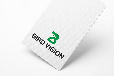 Bird Vision logo branding business card business card design logo logo design stationary