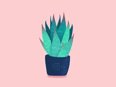 Aloe vera illustration for Aurelia aloe aloe vera clean illustration simple skin care skincare vector