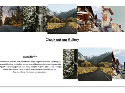 The Gallery_04of03 design illustrator photoshop ui ux web website