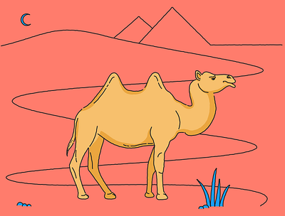 Camel animal art camel desert design illustration line illustration lineart moon pyramids vector