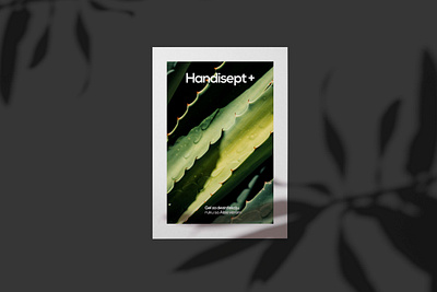 Handisept + Editorial aloe vera analog branding editorial editorial art editorial design editorial illustration geometry herbs minimal minimalist logo natural photography plant poster a day print print design type typeface typography