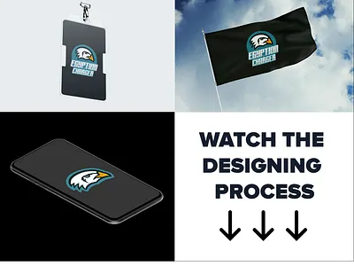 mascot logo design branding icon logo logodesign mascot process vector