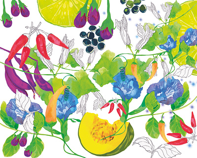 Toklas number5 book cover illustration magazine cover