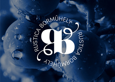 Logo design for a vinery branding letterlogo logo logodesign typography typologo