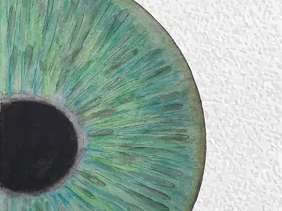 Eye illustration