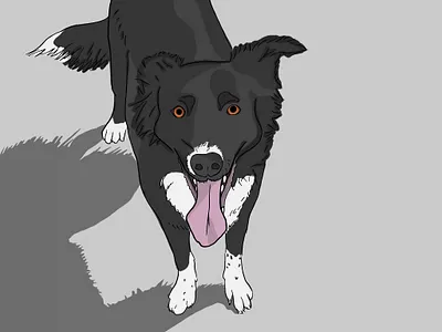 My Girl design digital art dog dog illustration drawing graphic design illustration ipadpro procreate puppy