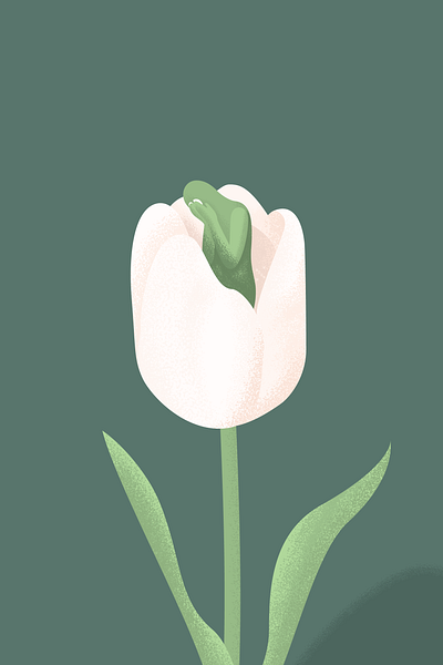 Dear Tulips coronavirus covid 19 covid19 dutch epidemic flower illustration netherlands sad tulip tulips vancouver vector vector illustration vectorart virus