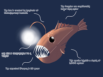 Angler angler anglerfish fish glow in the dark infographic information design luminance sea life underwater