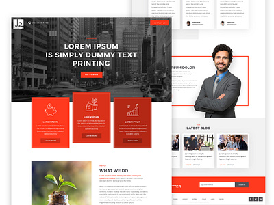 Finance Consulting Company Website best designer best outsourcing company brand management branding design homepage design layout design responsive design ui ux web web design web design agency website website design website design company website designer website designing