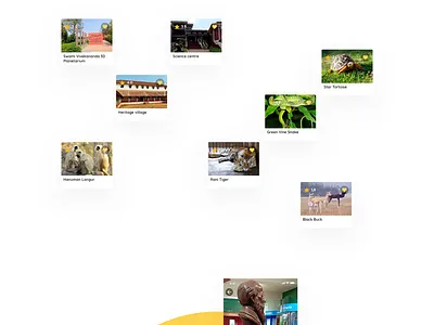 Pilikula - Mobile App Concept - Advanced Search app design download free freebie freebie psd freebie xd india mobile nihalgraphics ui ux