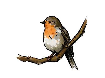 robin advertising illustration biological bird branding design digital media editorial design editorial illustration flyer illustration illustration art illustration digital illustrations nature robin