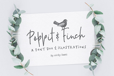 Poppit & Finch Fonts & Illustrations branding drawings font font design fonts graphic design graphics hand drawn font handwriting handwriting font handwriting fonts handwritten handwritten font illustration illustrations logo font script font script fonts typeface typefaces