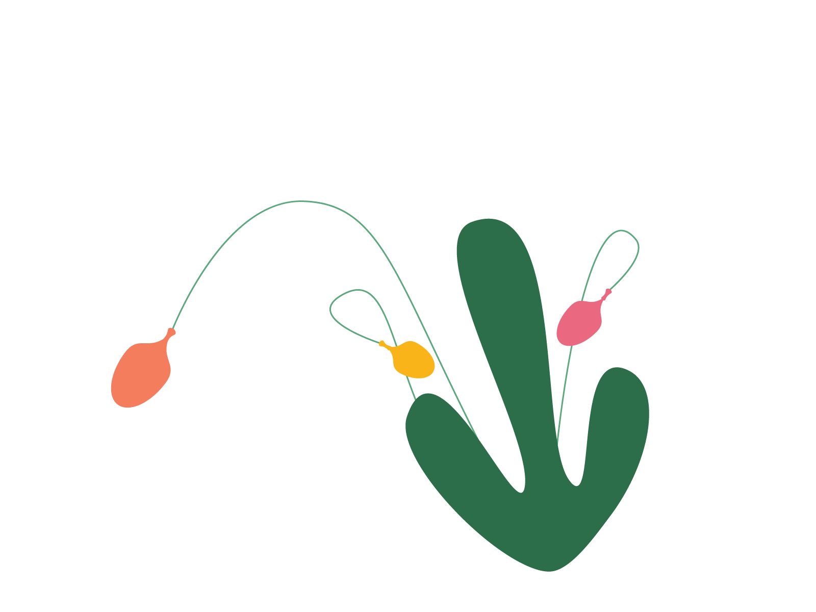 Example of flower