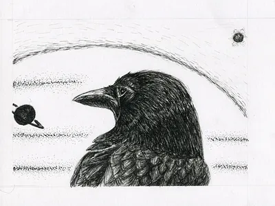 Overwatch Raven animal bird bird illustration birds design illustration line lineart linework pen pen and ink pencil raven ravens sketch space stippling style traditional wisdom