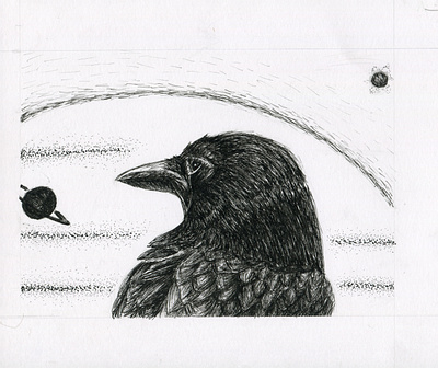 Overwatch Raven animal bird bird illustration birds design illustration line lineart linework pen pen and ink pencil raven ravens sketch space stippling style traditional wisdom