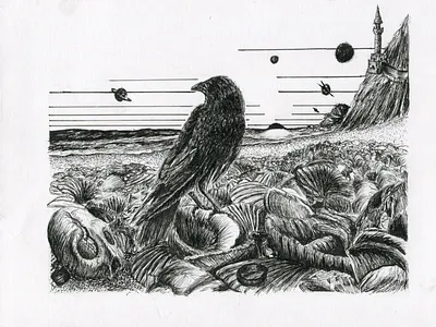 Overwatch Raven Two animal bird bird illustration birds design illustration line lineart linework pen pen and ink pencil raven ravens sketch space stippling style traditional wisdom