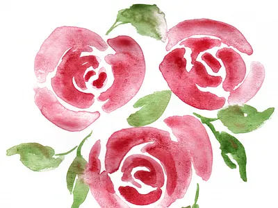 Roses in Watercolor flower illustration roses watercolor watercolor art