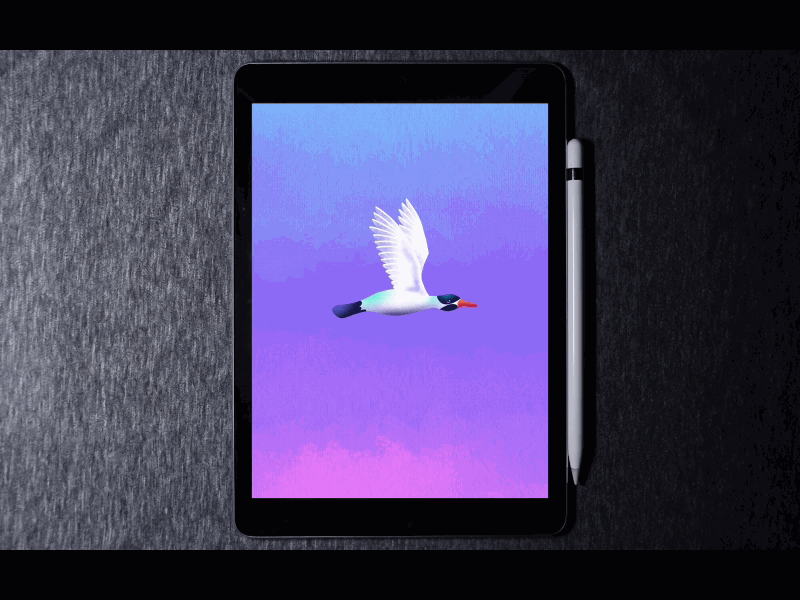 FLYING BIRD🕊️ animation in procreate flyingbird ipadpro procreate procreate5animation procreateanimation tutorial tutorial animation