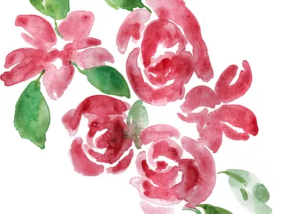 Roses in Watercolor flower flower illustration illustration roses watercolor watercolor art