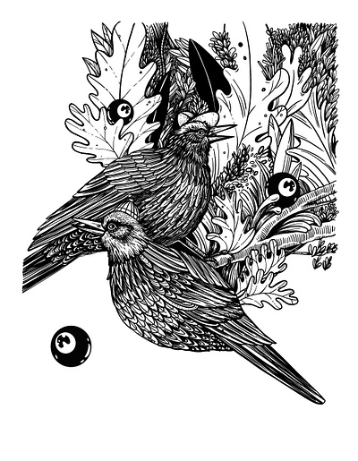 Birds Sketch adobefresco birds black and white cute funny illustration linework nature tattoo traditional