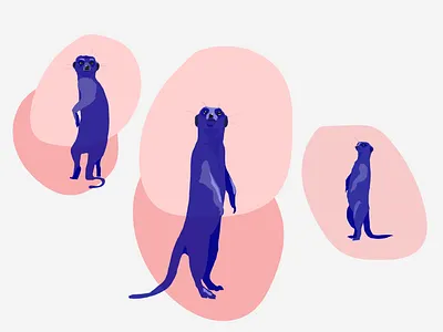 Web illustartion branding design illustration illustrator ui vector web