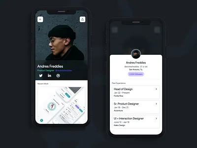 Designer Profile - Flutterflow Template Screen app app design blur design flutterflow frost effect iphonex mobile app profile ui ux