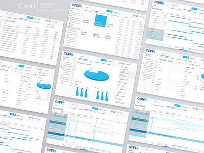 Cani it charts design erp gantt chart ui ux