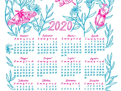 2020 Calendar 2020 beetle butterfly calendar calendar design caterpillar childrens illustration design drawing flowers gicleeprint illustration insects leaves line manisinistre moth nature poster print