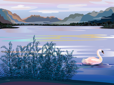 Swan Lake art digital art digital illustration digital painting digitalart flat flat illustration flatart flatdesign illustration lake landscape nature swan switzerland vector vector art vector illustration vectorartwork