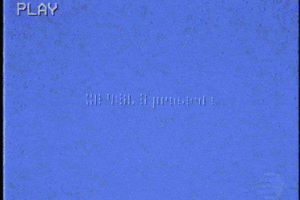 Summer of Data animation brand branding census data event flamingo logo mark motion graphics retro summer