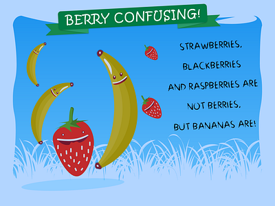 BERRY CONFUSING art design illustration xd