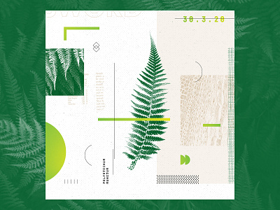 Polystichum Munitum collage design geometry illustration layout texture type vector