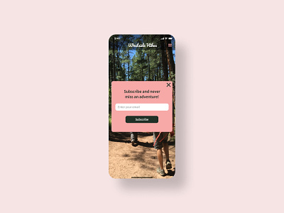 Subscribe dailyui