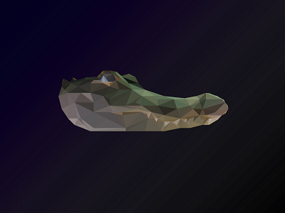 Low Poly Alligator 3d alligator geometric illustration illustration design lowpoly photoshop