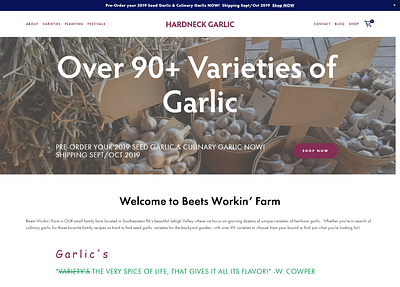 Hardneck Garlic Website Design branding design ecommerce design squarespace commerce squarespace design typography web web design website design