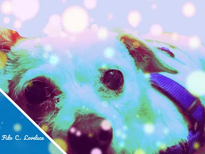 Fido C Lovelace design pets poster design