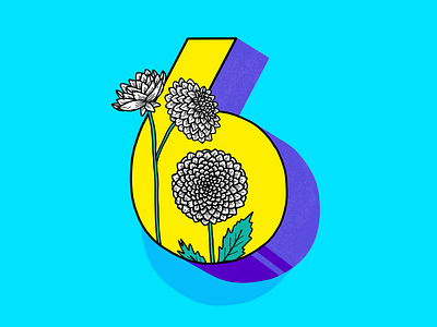 Number 6 36daysoftype lettering number