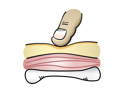 Palpation of the Skin anatomical illustration anatomy bodywork bone education finger illustration muscle palpation