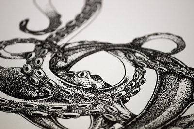 Octopus for Black Roe, London illustration octopus pen pointilism sketch