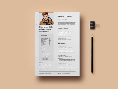 Free Professional Resume Template curriculum vitae cv cv template design free free cv template free resume template freebie freebies resume