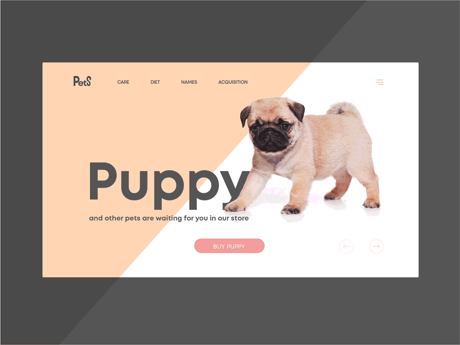 Pets store for fun animation design fun pet petshop photoshop store ui