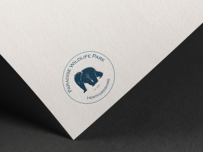 Bear Park Logo bear brand design illustraion logo logodesign logotype stamp ui vector