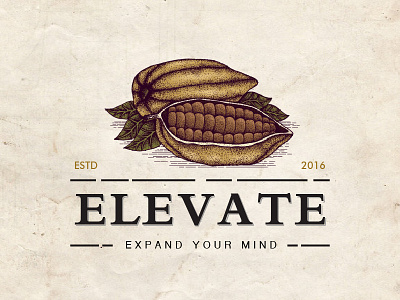 Elevate Logo badge logo brand design branding cacao beans chocolate beans classic cocoa design hand drawing hand drawn illustration logo old school retro logo vintage vintage design vintage logo