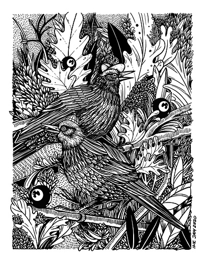 Birds Wall Sketch adobefresco black and white forest illustration linework nature sketch traditional