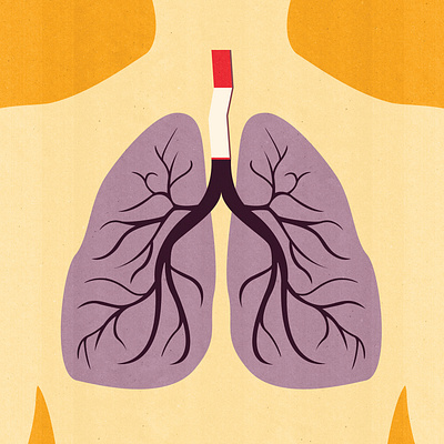 Premium Stock: Medical, Lungs anatomic anatomy cancer disease editorial editorial illustration health healthcare human anatomy illustration illustrator lungs medical medicine premium stock smoker smoking stock stock art textured