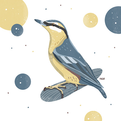 Kleiber illustration bird bird drawing bird illustration birds blue drawing drawings kleiber nature nature art procreate procreate illustration yellow