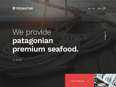 Pesantar - Web Design