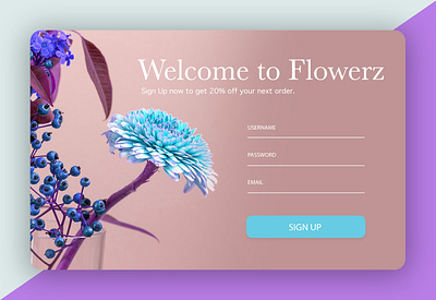 DailyUI 001 dailyui dailyui001 design signup page ui